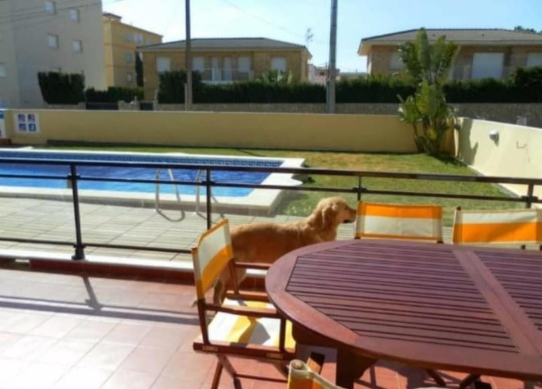 Apartamento Con Terraza Y Acceso Directo A La Piscina Y A 50 M De La Playa Miami Playa Esterno foto